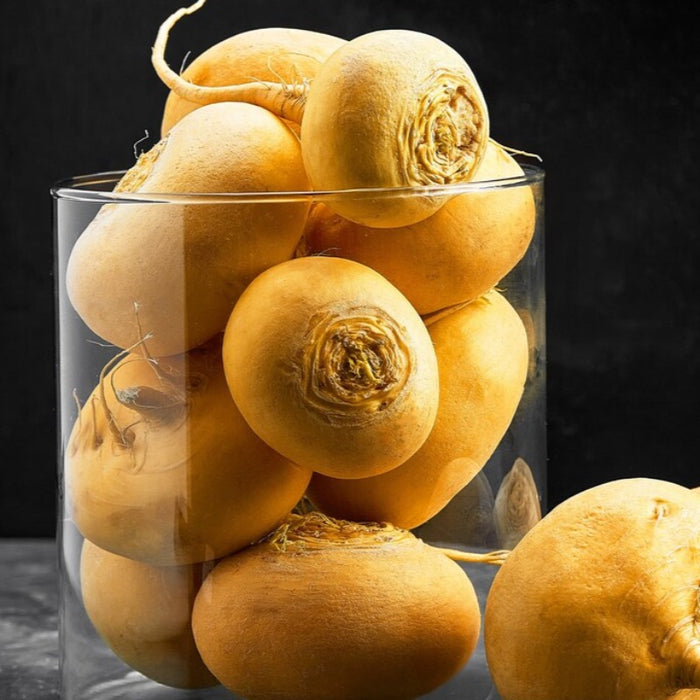 Golden Ball Turnip Heirloom Seeds - Root Vegetables, Fall Garden, Container Garden, Microgreens, Non-GMO