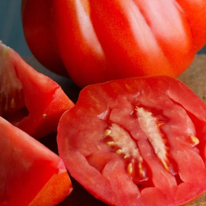 Pink Tomato Seeds - Heirloom Seeds, Indeterminate, Sauce Tomato, High Yield, Slicing Tomato, Pink Tomato, Open Pollinated, Non-GMO