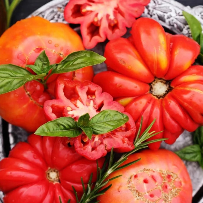 Pink Tomato Seeds - Heirloom Seeds, Indeterminate, Sauce Tomato, High Yield, Slicing Tomato, Pink Tomato, Open Pollinated, Non-GMO