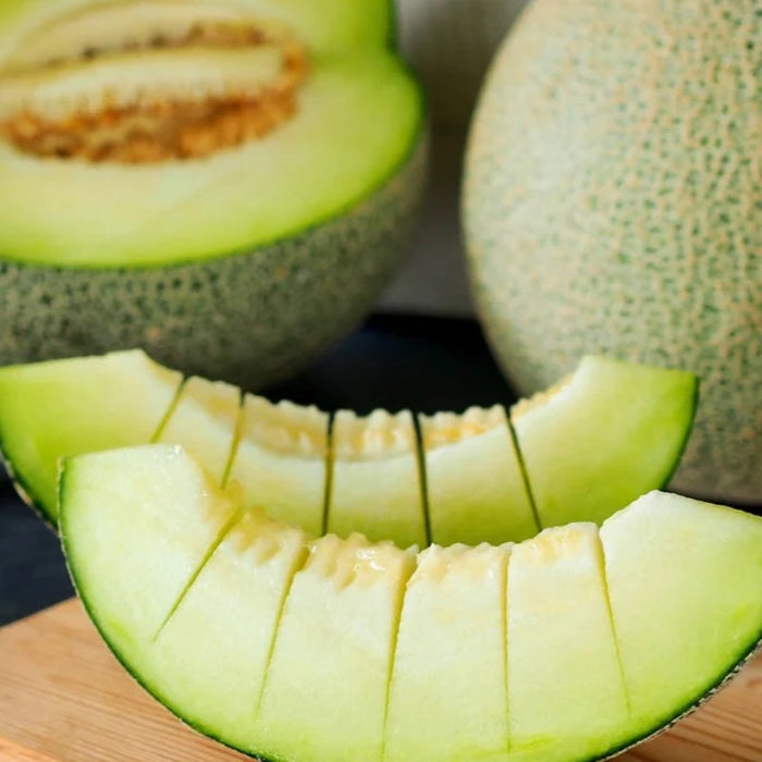 Rocky Ford Green Flesh Melon Seeds - Heirloom Seeds, Market Melon, Fruit Seeds, Open Pollinated, Non-GMO