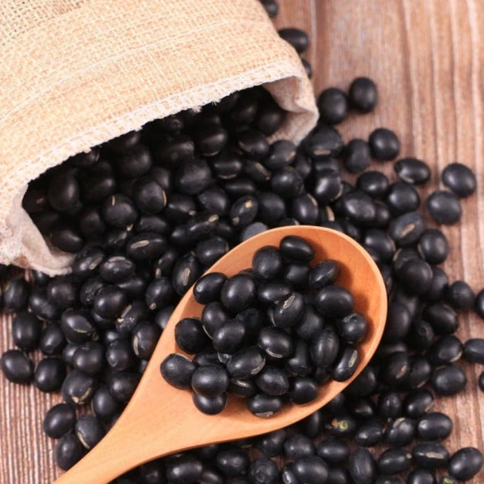 Black Turtle Bush Bean Seeds - Heirloom Seeds, Bush Bean, High Yield, Chili Bean, Soup Bean, Open Pollinated, Untreated, Non-GMO