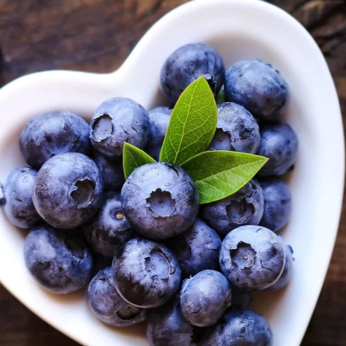 Blueberry Highbush Seeds - Heirloom Seeds, Bluecrop Blueberry, Duke Blueberry, Plant, Open Pollinated, Non-GMO