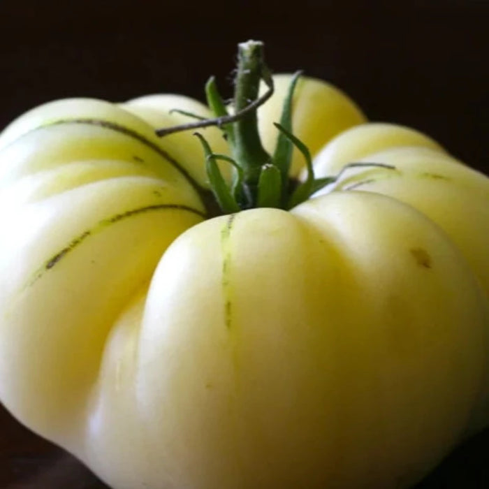 White Beauty Tomato Heirloom Seeds - Snowball Tomato, Indeterminate, Open Pollinated, Non-GMO