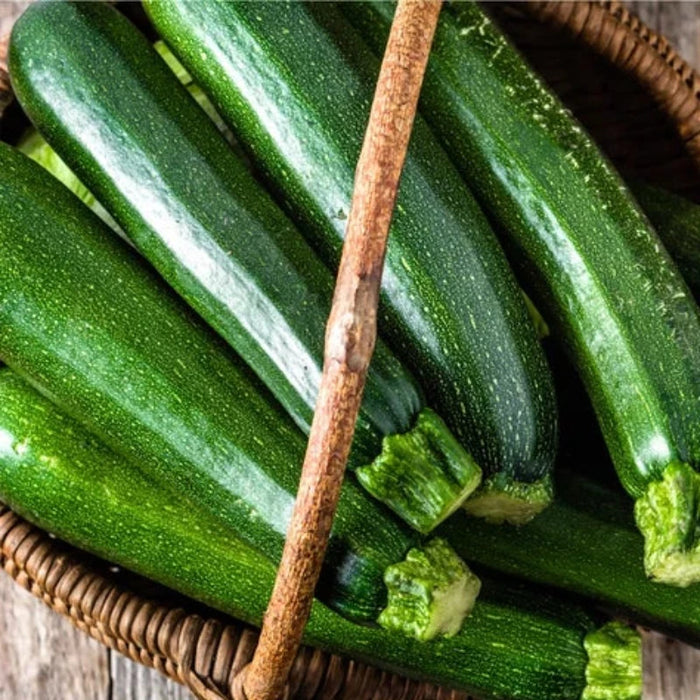 Dark Green Zucchini Heirloom Seeds