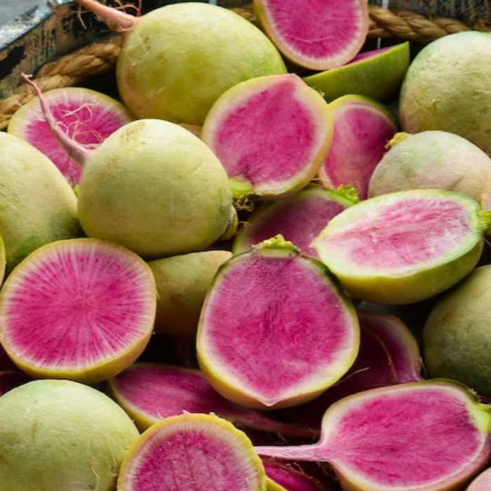 Watermelon Radish Heirloom Seeds