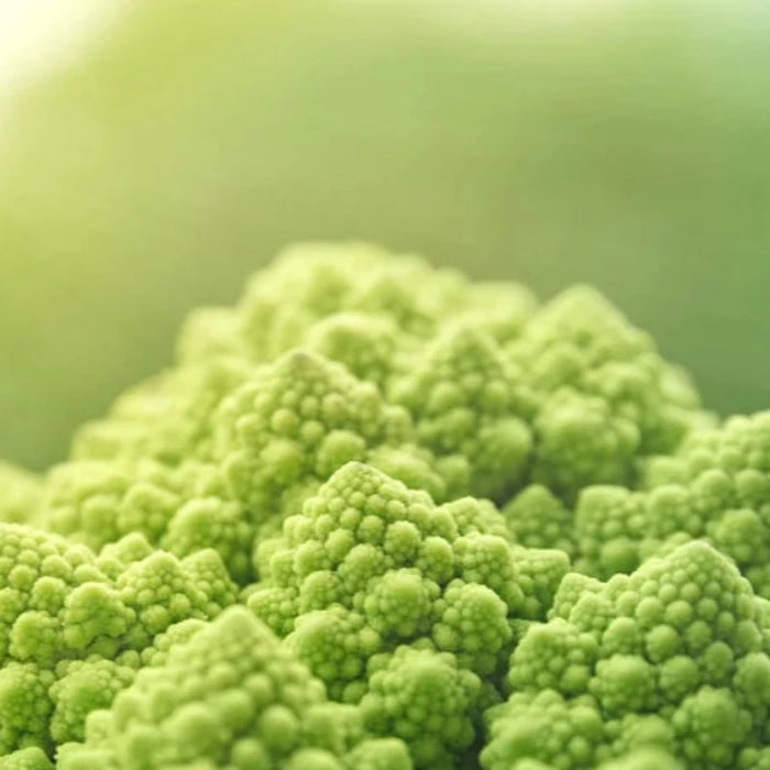 Romanesco Broccoli Heirloom Seeds