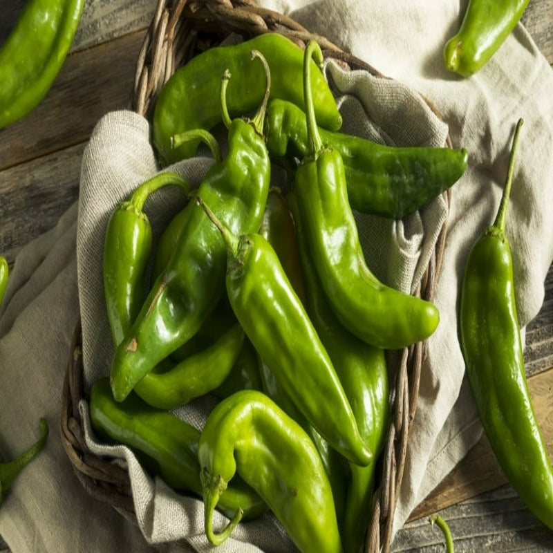 Anaheim Chili Pepper Heirloom Seeds — Seed Nerds