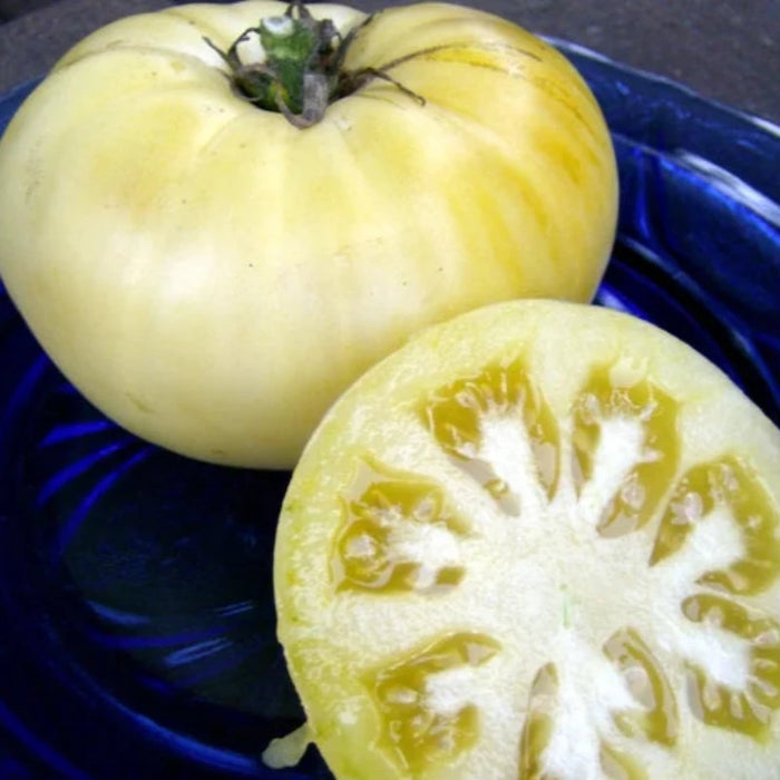 White Beauty Tomato Heirloom Seeds - Snowball Tomato, Indeterminate, Open Pollinated, Non-GMO