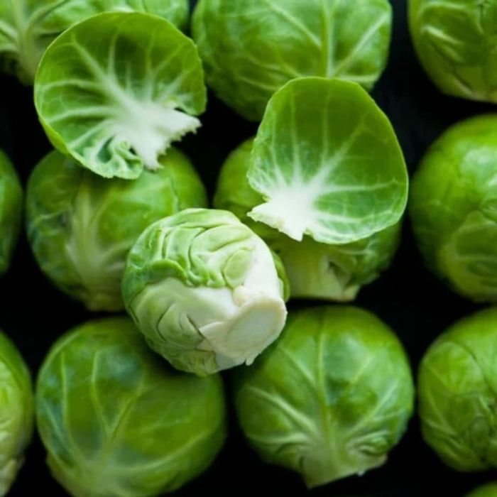 Long Island Improved Brussels Sprout Heirloom Seeds