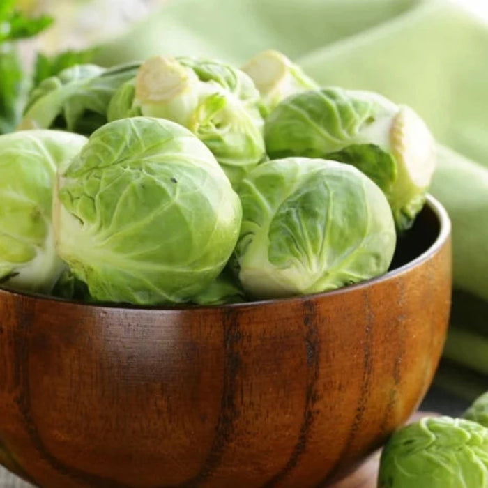 Long Island Improved Brussels Sprout Heirloom Seeds