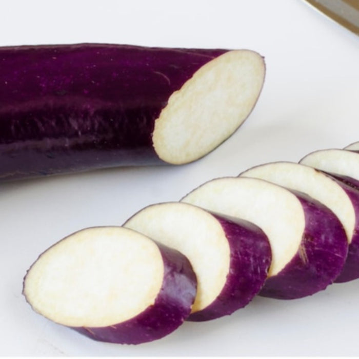 Ping Tung Eggplant Seeds Heirloom Seeds, Taiwanese Heirloom, Disease Resistant, Non-GMO