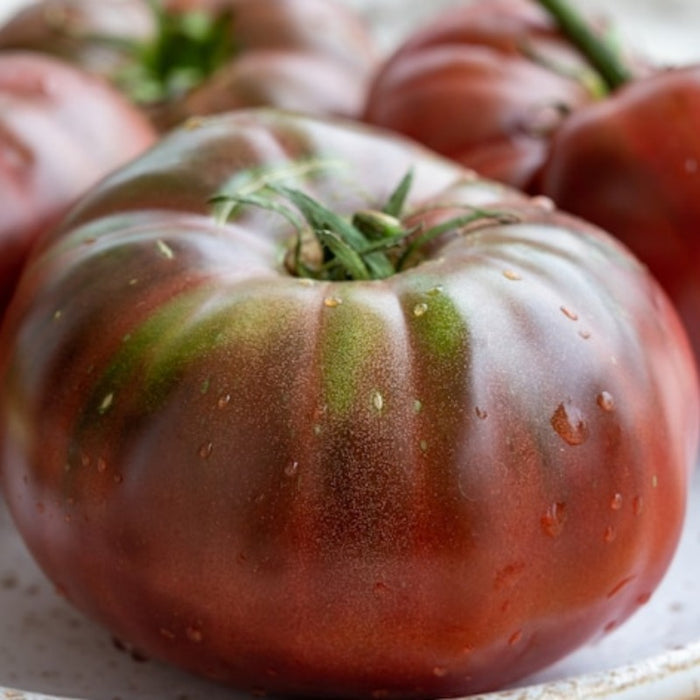 Black Krim Tomato Seeds - Heirloom Seeds, Russian Heirloom Tomato, Indeterminate, Open Pollinated, Non-GMO