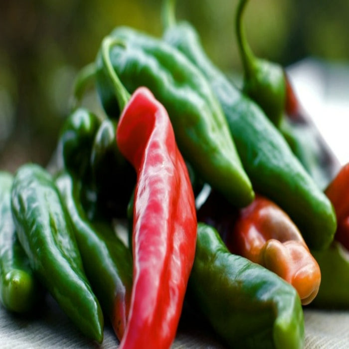 Anaheim Chili Pepper Seeds - Mild Non GMO Versatile