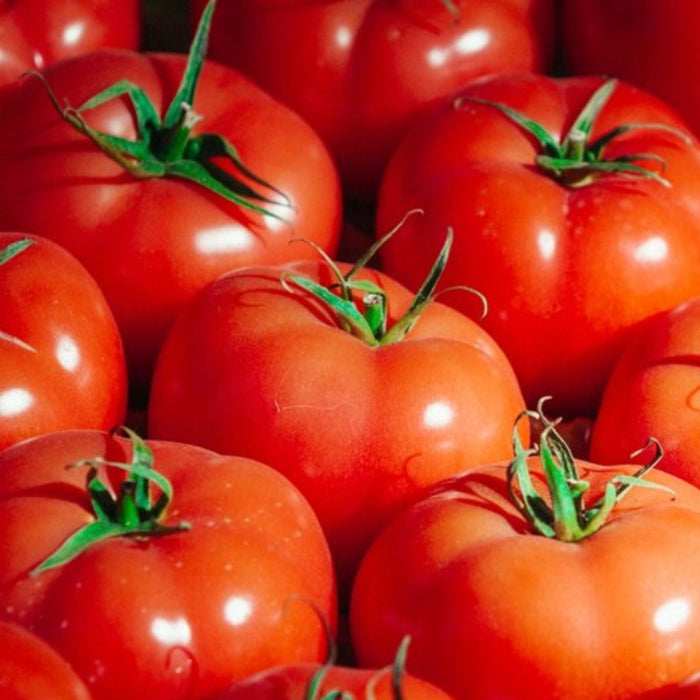 Rutgers Tomato Heirloom Seeds