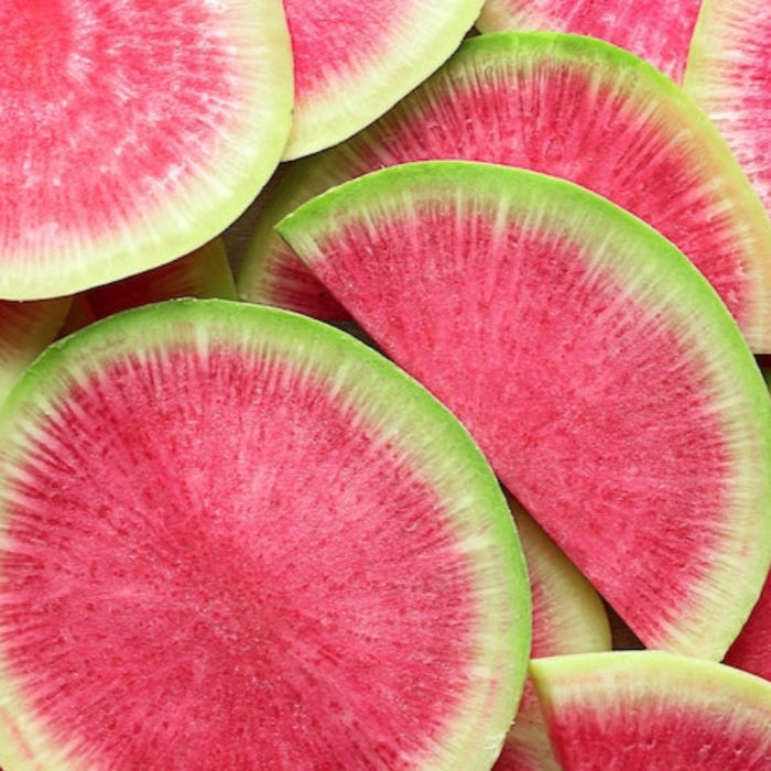 Watermelon Radish Heirloom Seeds